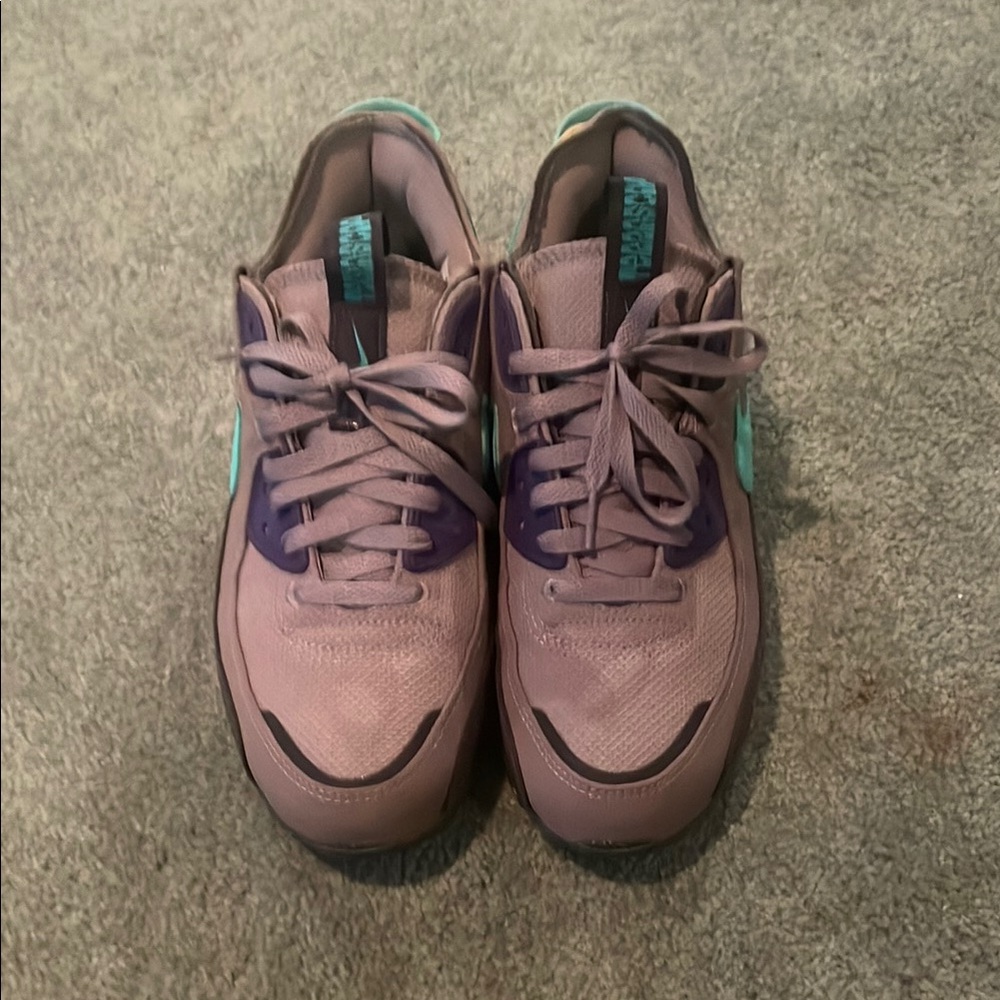 Air Max 90 Terrascapes